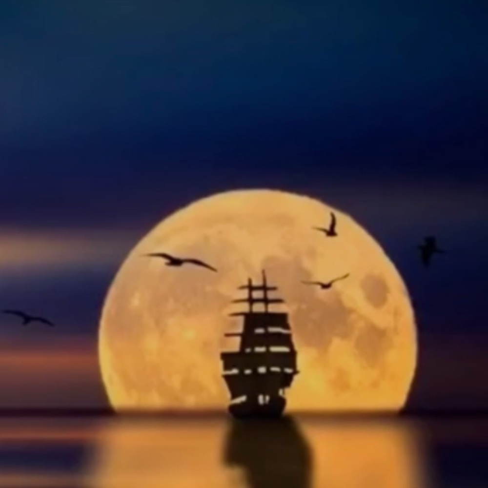 Meet your Posher, Caiden